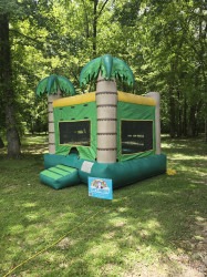 1000006133 1770743558 Palm Tree