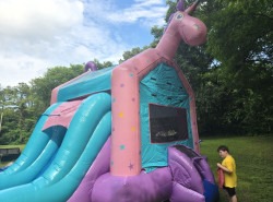 1000010676 1770743333 EZ Unicorn Wet or Dry